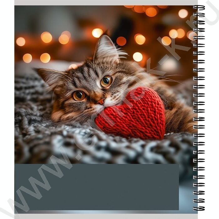 Тетрадь  96л клетка/спираль "Красивые коты" ассорти | Фото 3