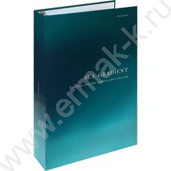 Тетрадь 120л А4 клетка/кольца "Цвет и надпись-1" NEW | Фото 1