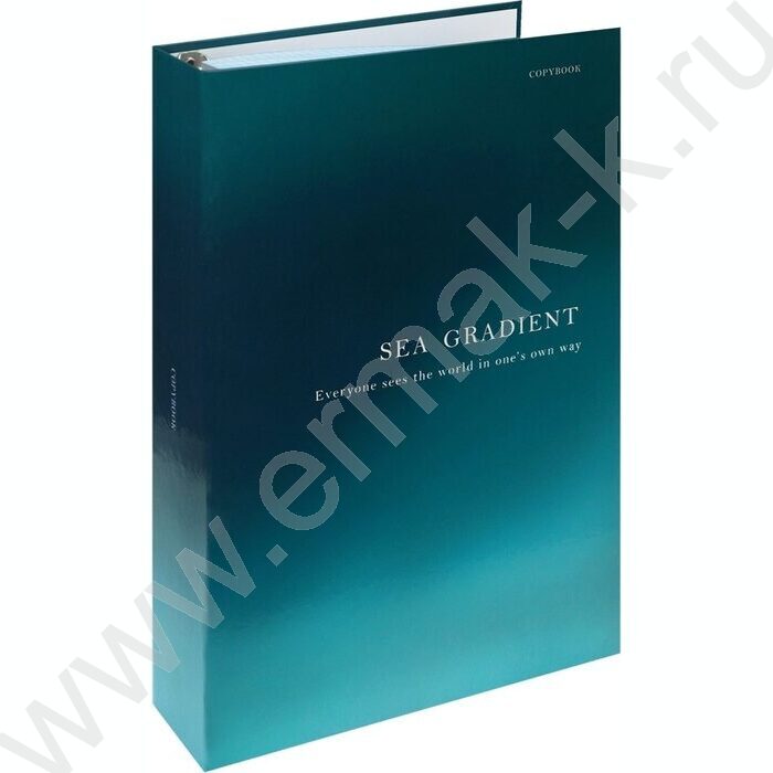 Тетрадь 120л А4 клетка/кольца "Цвет и надпись-1" | Фото 1