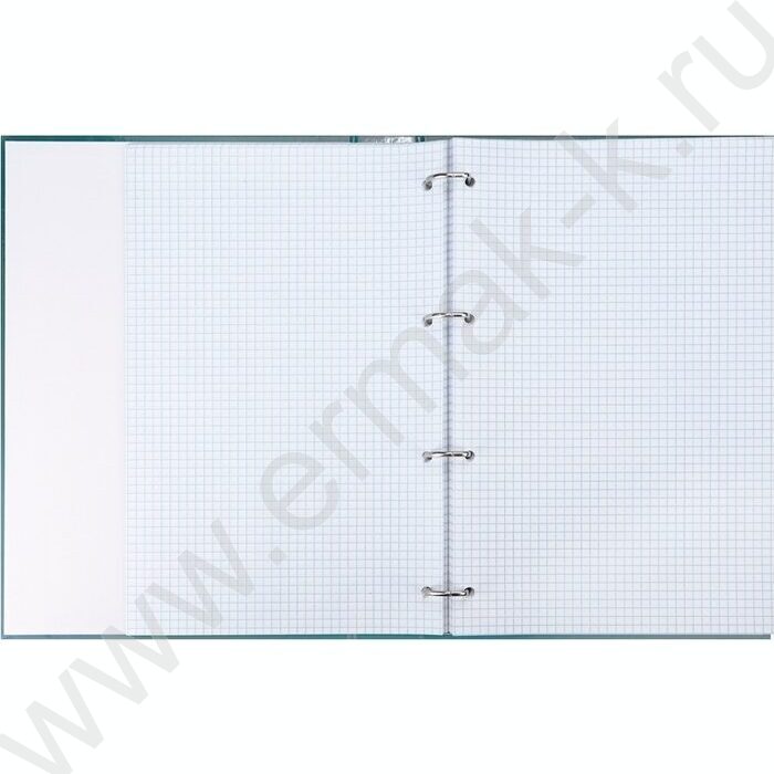 Тетрадь 120л А4 клетка/кольца "Цвет и надпись-1" | Фото 3
