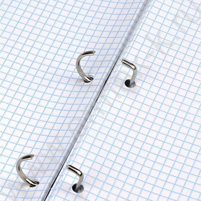 Тетрадь 120л А4 клетка/кольца "Цвет и надпись-1" | Фото 4