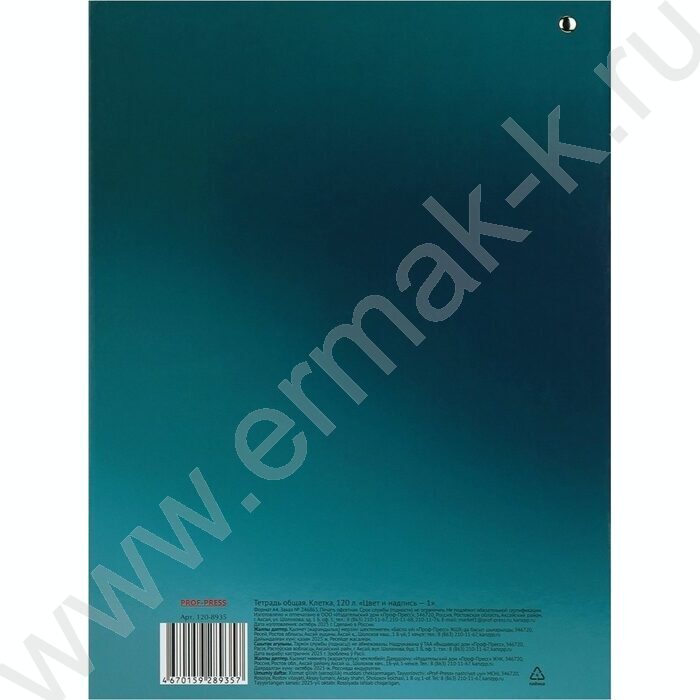 Тетрадь 120л А4 клетка/кольца "Цвет и надпись-1" | Фото 5