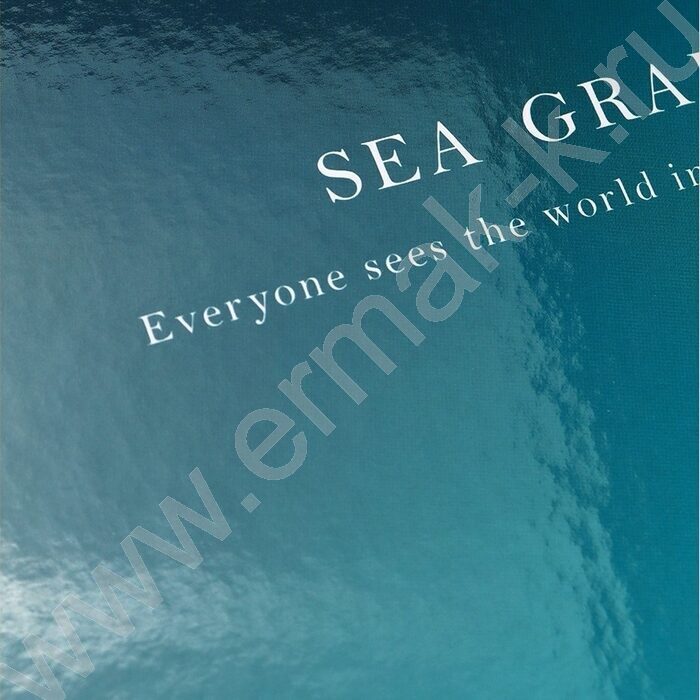 Тетрадь 120л А4 клетка/кольца "Цвет и надпись-1" | Фото 6