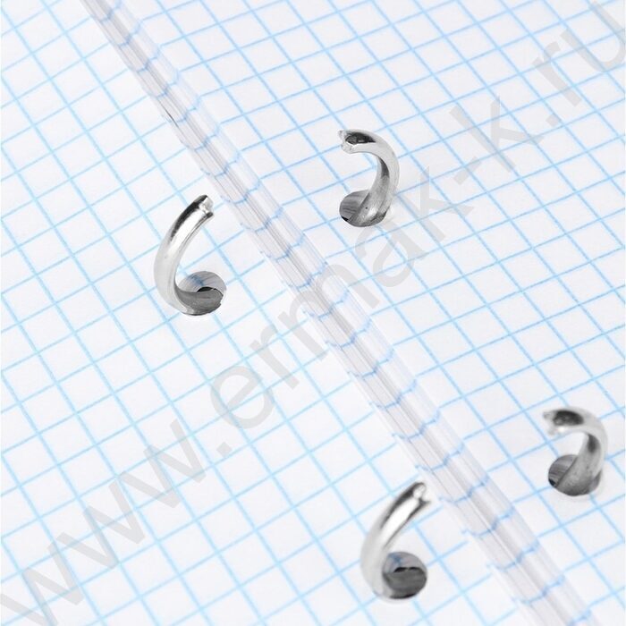 Тетрадь  80л клетка/кольца "Красивый мост" /глянец/лён | Фото 4