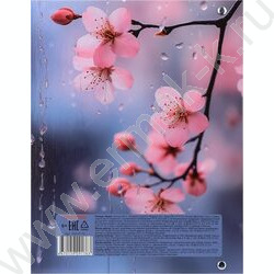 Тетрадь  80л клетка/кольца "Нежная сакура" /глянец/лён NEW | Фото 5
