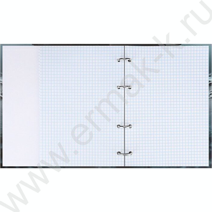 Тетрадь  80л клетка/кольца "Дизайн в макро" /мат.лам./выб.лак./ | Фото 3