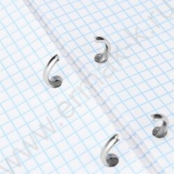 Тетрадь  80л клетка/кольца "Нежные цветы-19" /мат.лам./выб.лак./ NEW | Фото 4