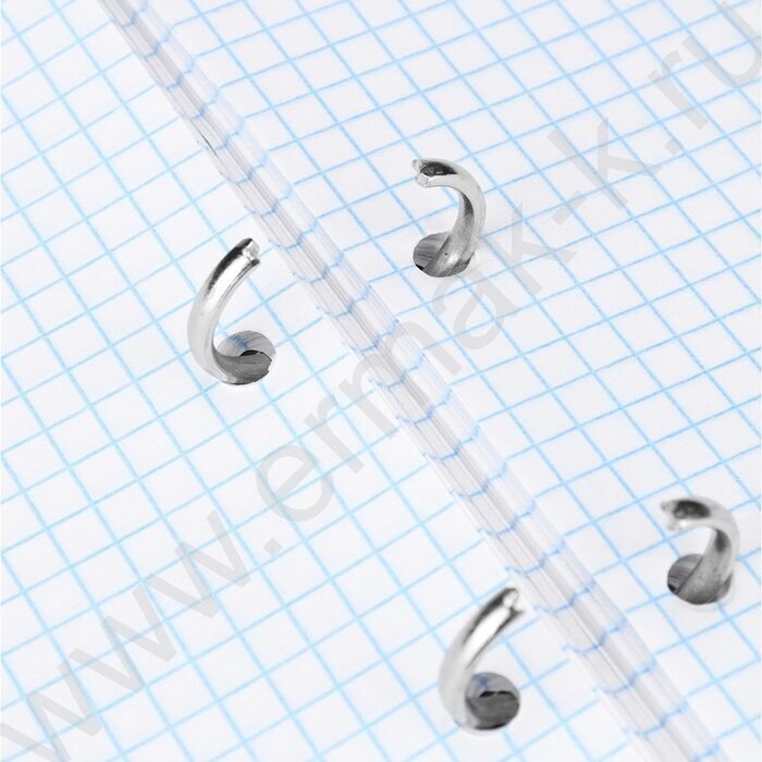 Тетрадь  80л клетка/кольца "Нежные цветы-19" /мат.лам./выб.лак./ | Фото 4