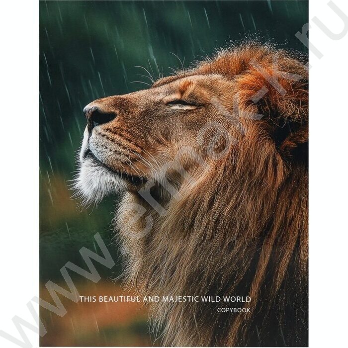 Тетрадь 100л клетка/кольца "Лев под дождём" | Фото 2