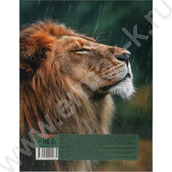 Тетрадь 100л клетка/кольца "Лев под дождём" NEW | Фото 5