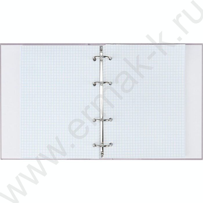 Тетрадь 100л клетка/кольца "Минималистичная классика" | Фото 3