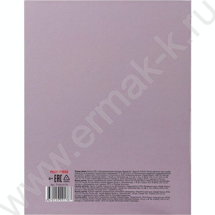 Тетрадь 100л клетка/кольца "Минималистичная классика" | Фото 5