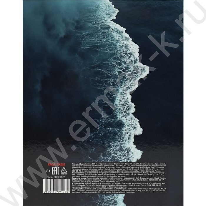 Тетрадь 100л клетка/кольца "Морские волны" | Фото 5