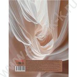 Тетрадь 160л клетка/кольца "Пастельный цвет" NEW | Фото 5