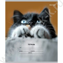 Тетрадь  12л линейка косая дополнительная "Кошачьи мордочки-3" 5видов NEW | Фото 2