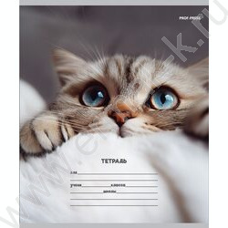 Тетрадь  12л линейка косая дополнительная "Кошачьи мордочки-3" 5видов NEW | Фото 3