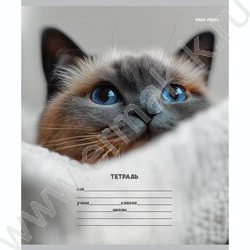 Тетрадь  12л линейка косая дополнительная "Кошачьи мордочки-3" 5видов NEW | Фото 4