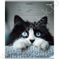 Тетрадь  12л линейка косая дополнительная "Кошачьи мордочки-3" 5видов NEW | Фото 5
