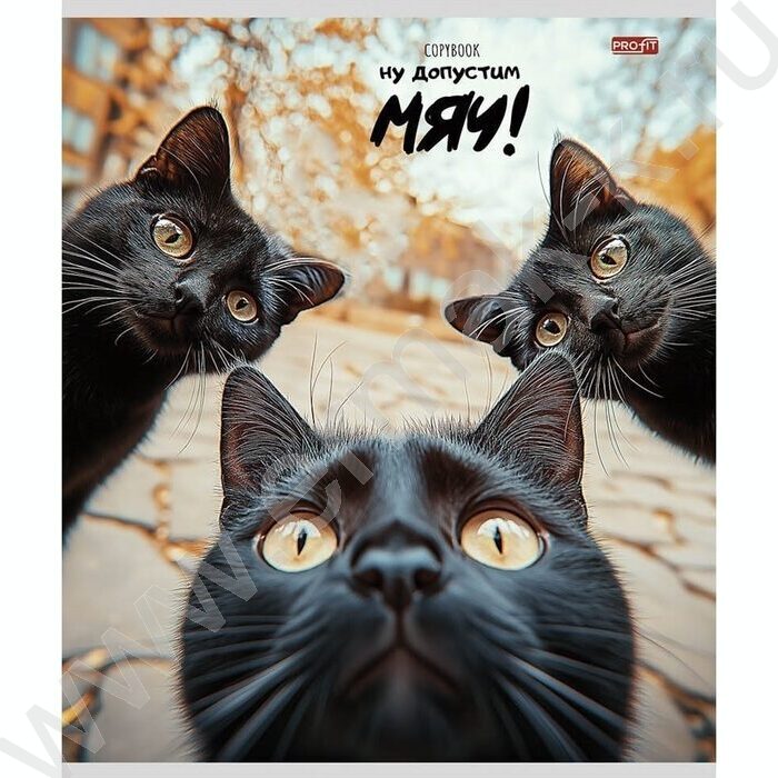 Тетрадь  48л клетка "Забавные коты-4" ассорти | Фото 4