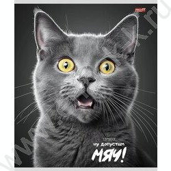 Тетрадь  48л клетка "Забавные коты-4" ассорти NEW | Фото 5