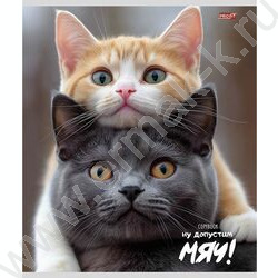 Тетрадь  48л клетка "Забавные коты-4" ассорти NEW | Фото 6