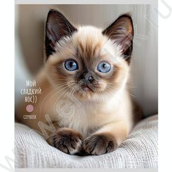 Тетрадь  48л клетка "Милые котики-5" ассорти NEW | Фото 4