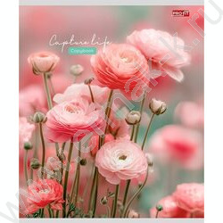 Тетрадь  48л клетка "Нежные цветочки-11" ассорти NEW | Фото 4