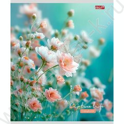 Тетрадь  48л клетка "Нежные цветочки-11" ассорти NEW | Фото 5