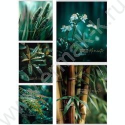 Тетрадь  48л клетка "Растительная тема" ассорти NEW | Фото 1