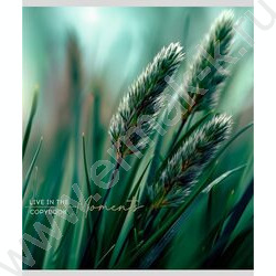 Тетрадь  48л клетка "Растительная тема" ассорти NEW | Фото 2