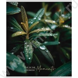 Тетрадь  48л клетка "Растительная тема" ассорти NEW | Фото 4