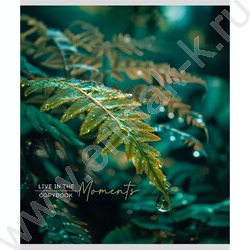 Тетрадь  48л клетка "Растительная тема" ассорти NEW | Фото 6