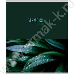 Тетрадь  48л клетка "Красота природы" ассорти NEW | Фото 2