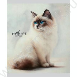 Тетрадь  48л линейка "Красивые коты-1" ассорти NEW | Фото 4