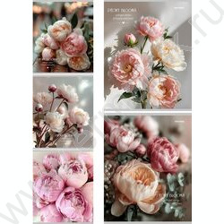 Тетрадь  48л клетка "Нежные пионы-3" ассорти NEW | Фото 1