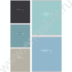 Тетрадь  48л клетка "Однотонная классика" ассорти NEW | Фото 1