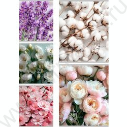 Тетрадь  48л линейка "Нежные цветы-21" ассорти NEW | Фото 1