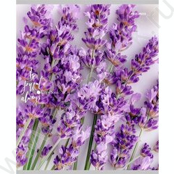 Тетрадь  48л линейка "Нежные цветы-21" ассорти NEW | Фото 2