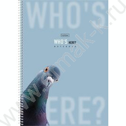 Тетрадь  96л А4 клетка/спираль/перфорация на отрыв "Кто здесь?" /мат.ламин./ 2вида NEW | Фото 2