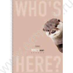 Тетрадь  96л А4 клетка/спираль/перфорация на отрыв "Кто здесь?" /мат.ламин./ 2вида NEW | Фото 3