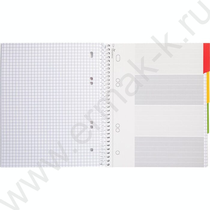 Тетрадь 120л клетка/спираль /3 цв. разделителя, перфорация на отрыв/тв.обл.Soft-touch "Кто здесь | Фото 2