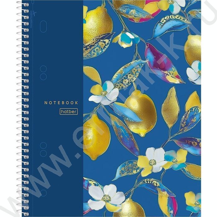 Тетрадь 120л клетка/спираль /3 цв. разделителя, перфорация на отрыв/тв.обл.Soft-touch "Солнечные NEW | Фото 1