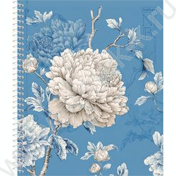 Тетрадь 120л клетка/спираль /3 цв. разделителя, перфорация на отрыв/тв.обл.Soft-touch "Королевск NEW | Фото 1