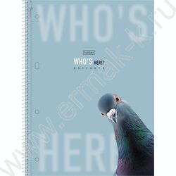 Тетрадь 120л А4 клетка/спираль/тв.обл./4цв.раздел.,многоуров.перфорация "Кто здесь?" ламинац.SOF NEW | Фото 1