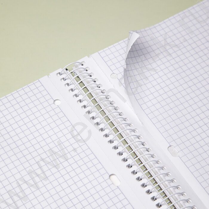 Тетрадь 120л А4 клетка/спираль/тв.обл./4цв.раздел.,многоуров.перфорация "Кто здесь?" ламинац.SOF NEW | Фото 3