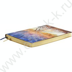 Ежедневник н/дат А5 160л Escalada.#АФФИРМАЦИИ.АНАСТАСИЯ ПЕТРЯЕВА.Свет сквозь /мягкий переплёт,ис NEW | Фото 3