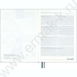 Ежедневник н/дат А5 160л Escalada.#АФФИРМАЦИИ.АНАСТАСИЯ ПЕТРЯЕВА.уман над островом /мягкий переп NEW | Фото 4