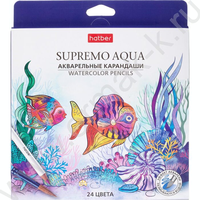 Карандаши акварельные 24цв Supremo aqua /круглый корпус /карт.коробка | Фото 1