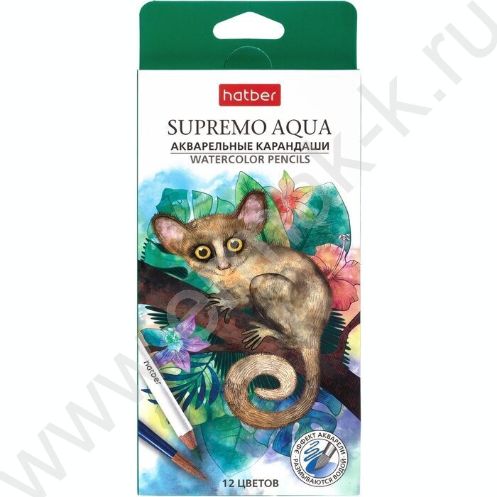 Карандаши акварельные 12цв Supremo aqua /круглый корпус /карт.коробка | Фото 1