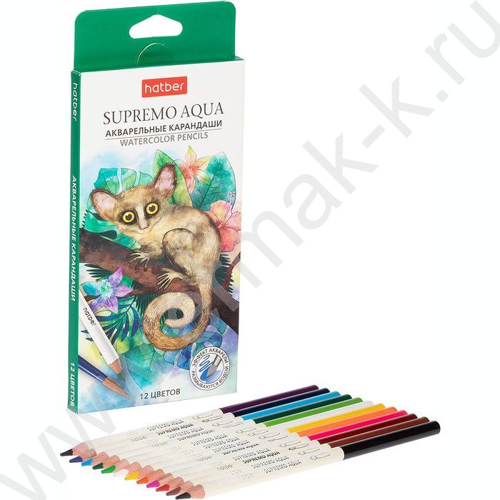 Карандаши акварельные 12цв Supremo aqua /круглый корпус /карт.коробка | Фото 2